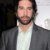 David Schwimmer