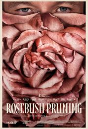 Rosebush Pruning