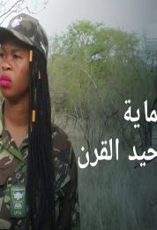 حماية وحيد القرن