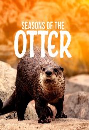 Seasons of the Otter
