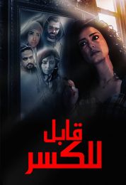 show قابل للكسر