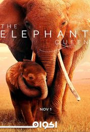 The Elephant Queen
