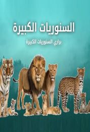 السنوريات الكبيرة