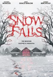 show Snow Falls