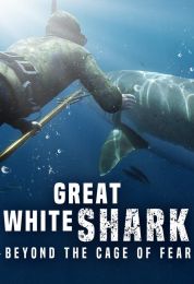 Great White Shark: Beyond the Cage of Fear