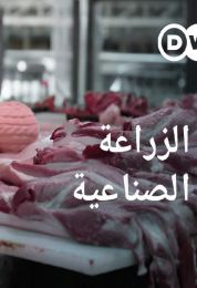 الزراعة الصناعية