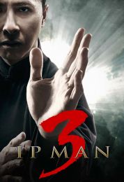ip Man 3