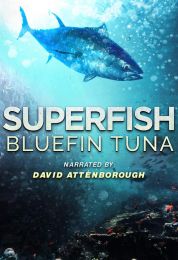 Superfish: Bluefin Tuna