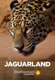 Lost Land of the Jaguar