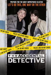 show The Accidental Detective