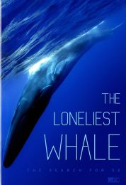 The Loneliest Whale: The Search for 52