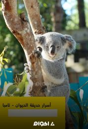 أسرار حديقة الحيوان تامبا