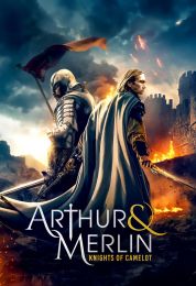 show Arthur & Merlin: Knights of Camelot