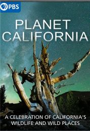 Planet California