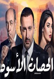 الحصان الأسود