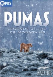 Pumas: Legends of the Ice Mountains