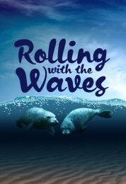 Coasts: Rolling with the Waves