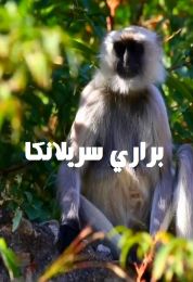 براري سريلانكا