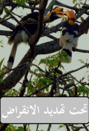 تحت تهديد الإنقراض