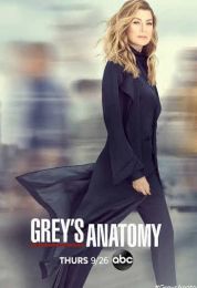 Grey's Anatomy الموسم السادس عشر