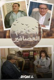 أحلام العصافير