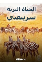 الحياة البرية في سرينغتي