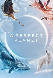 A Perfect Planet