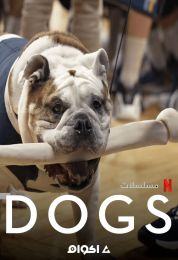 Dogs الموسم الثاني