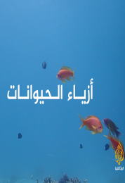 أزياء الحيوانات