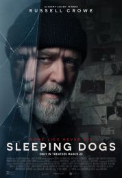 show Sleeping Dogs