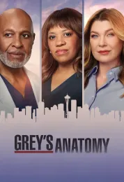 Grey's Anatomy الموسم 23