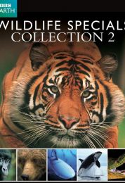Wildlife Specials الموسم الثاني