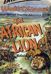 The African Lion