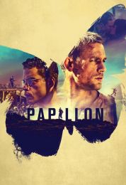 show Papillon