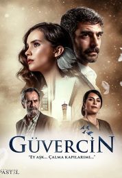 Guvercin