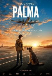 show A Dog Named Palma