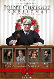 show A Joint Custody Christmas