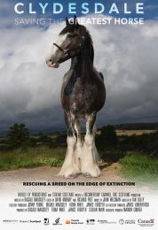 Saving the Greatest Horse: Clydesdale