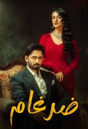 ضرغام ضرغام