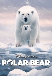 show Polar Bear