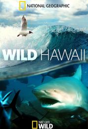 Wild Hawaii