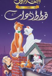 show قطط ذوات