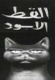 القط الأسود