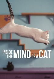 show Inside the Mind of a Cat