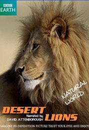 Desert Lions