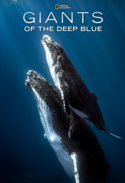 Giants of the Deep Blue