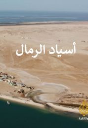 موريتانيا أسياد الرمال