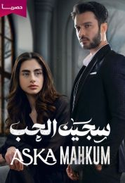 سجين الحب مدبلج