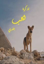 تذكرة لكلب بلدي