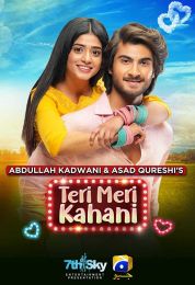 show Teri Meri Kahani